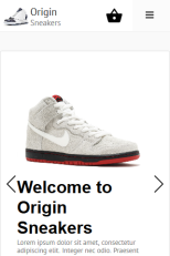 Origin Sneakers